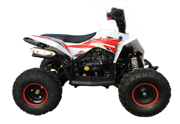 Детский квадроцикл бензиновый MOTAX GEKKON 90 cc 1+1 (Реверс) pitbikemarket.ru